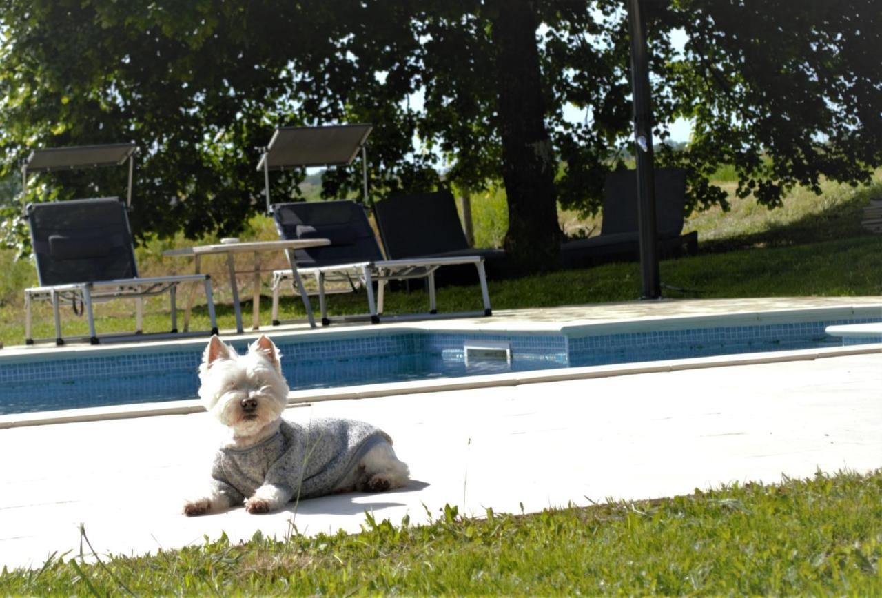 Le Shedeaux Villa Saint-Privat-des-Pres Exterior photo